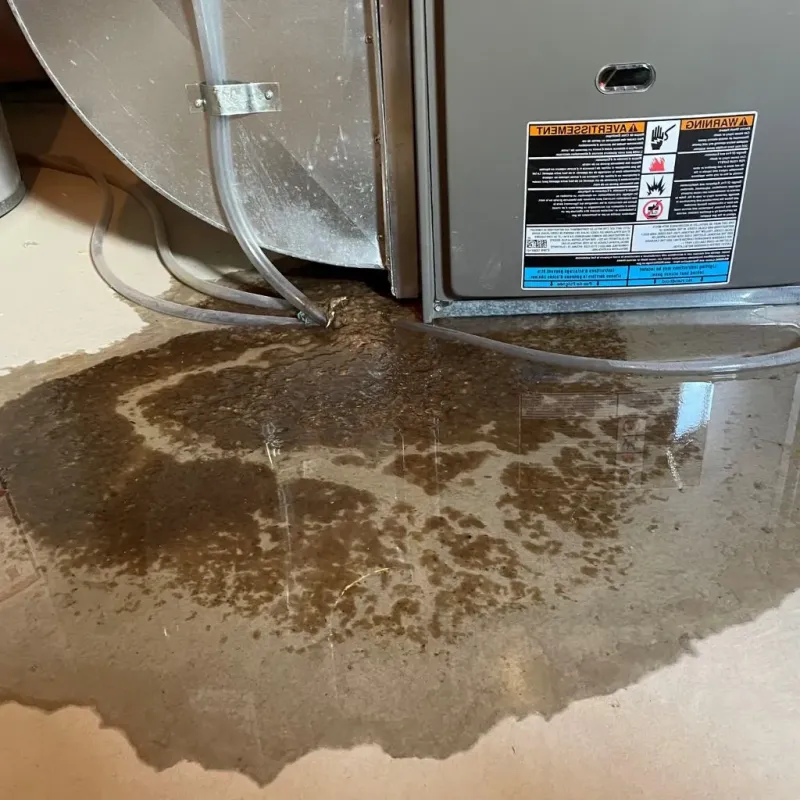 Pipe Burst and Leak Restoration in Finneytown, OH
